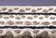 UV PLUS